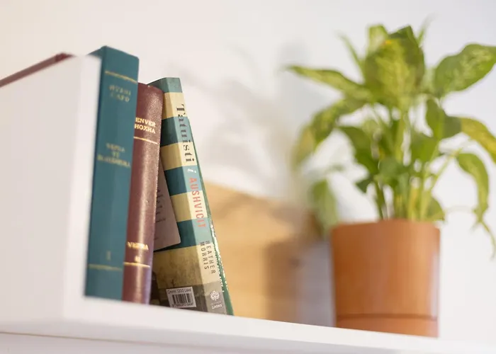 Cozy Near Tia! - Self Check-in - Free Wifi - Netflix